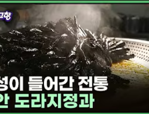 도라지정과 –전북특별자치도 진안 | KBS 6시 내고향 260122(목)